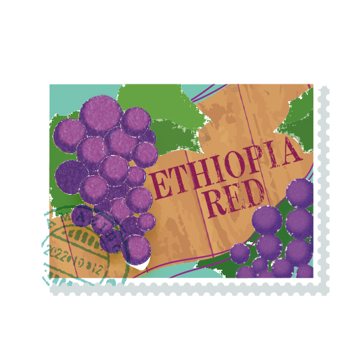エチオピアレッド 〜ワイン樽プロセス〜 詳細画像 豆のまま 2