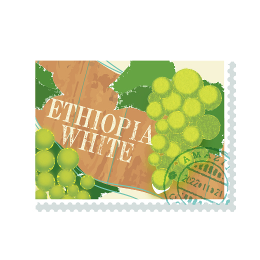 エチオピアホワイト 〜ワイン樽プロセス〜 詳細画像 豆のまま 2