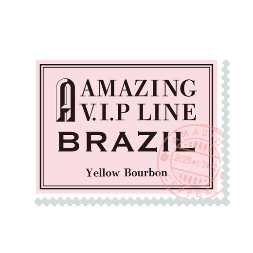 FazendaUM Yellow Bourbon(D/K) 詳細画像 豆のまま 2